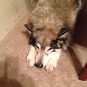 Meet your Posher, Cynthia